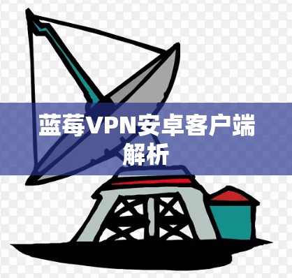 蓝莓VPN安卓客户端解析