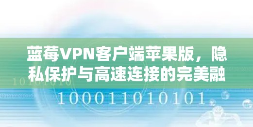 蓝莓VPN客户端苹果版,隐私保护与高速连接的完美融合