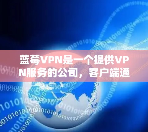 蓝莓VPN是一个提供VPN服务的公司,客户端通常可以从其官网下载安装包。以下是获取蓝莓VPN客户端安装包的步骤