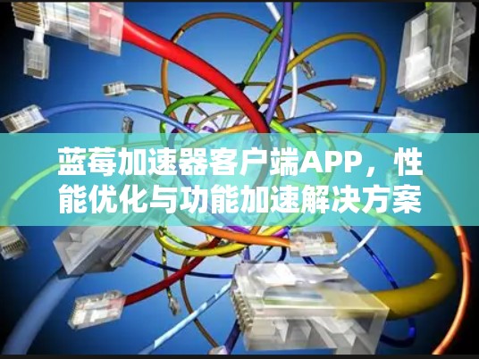 蓝莓加速器客户端APP,性能优化与功能加速解决方案