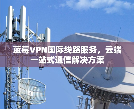 蓝莓VPN国际线路服务,云端一站式通信解决方案