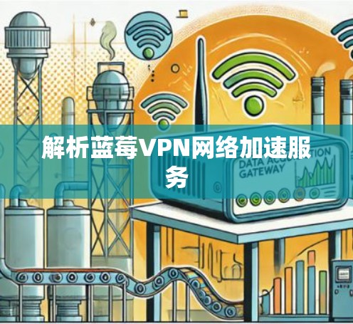 解析蓝莓VPN网络加速服务