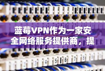 蓝莓VPN作为一家安全网络服务提供商,提供多种功能和服务选项,适用于不同用户群体。以下是对蓝莓VPN的详细分析