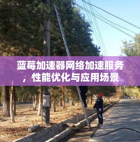 蓝莓加速器网络加速服务,性能优化与应用场景