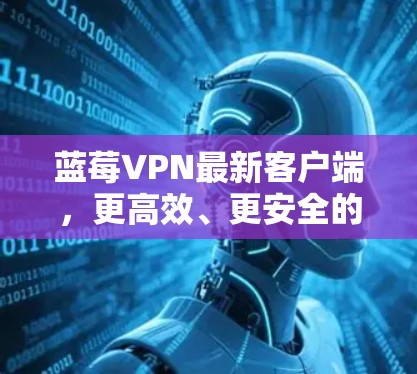 蓝莓VPN最新客户端，更高效、更安全的网络解决方案