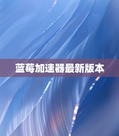 蓝莓加速器最新版本