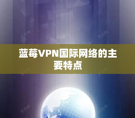 蓝莓VPN国际网络的主要特点