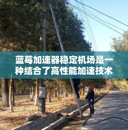 蓝莓加速器稳定机场是一种结合了高性能加速技术和稳定性保障的解决方案,专为机场环境设计。以下是对其的详细分析