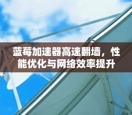 蓝莓加速器高速翻墙,性能优化与网络效率提升
