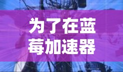 为了在蓝莓加速器上实现低延迟的翻墙，以下是一系列步骤和建议，帮助你有效地完成此项任务