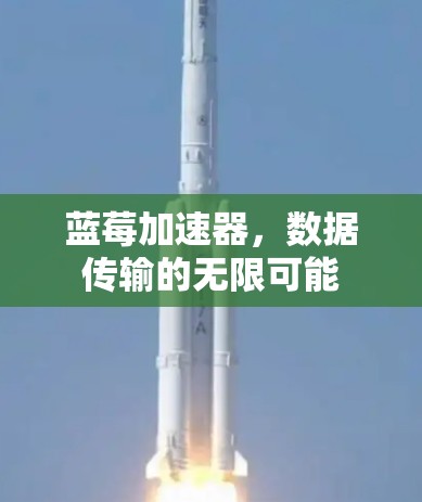 蓝莓加速器,数据传输的无限可能