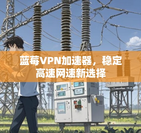 蓝莓VPN加速器，稳定高速网速新选择