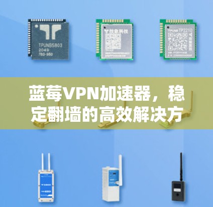 蓝莓VPN加速器，稳定翻墙的高效解决方案