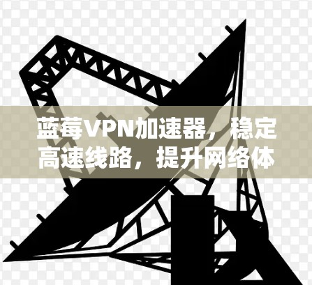 蓝莓VPN加速器，稳定高速线路，提升网络体验