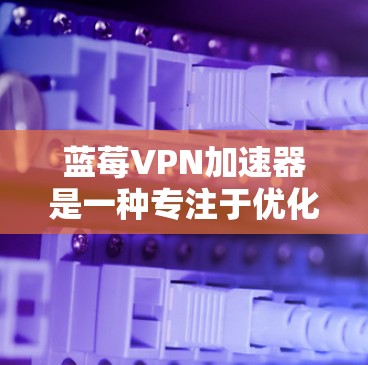 蓝莓VPN加速器是一种专注于优化网络连接速度和延迟的工具,常用于游戏、视频流或其他需要低延迟网络环境的场景。如果你在机场使用蓝莓VPN加速器,以下是一些可能的方法和建议