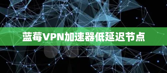 蓝莓VPN加速器低延迟节点