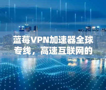 蓝莓VPN加速器全球专线,高速互联网的无缝连接
