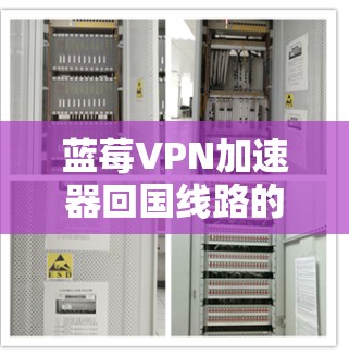 蓝莓VPN加速器回国线路的设置和使用方法可以通过以下步骤实现