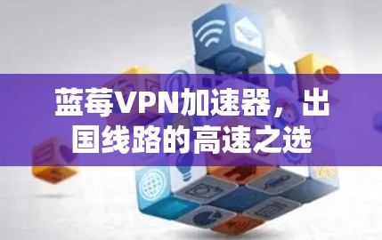 蓝莓VPN加速器,出国线路的高速之选