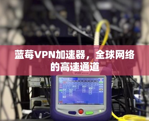 蓝莓VPN加速器,全球网络的高速通道