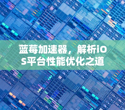 蓝莓加速器,解析iOS平台性能优化之道