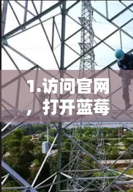 1.访问官网,打开蓝莓加速器的官方网站(如蓝莓加速器的官方网址)