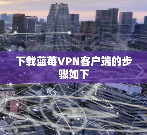 下载蓝莓VPN客户端的步骤如下