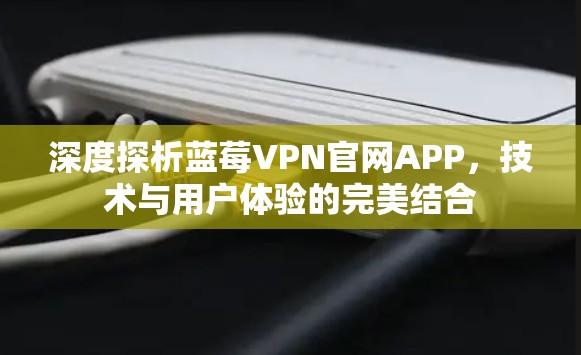 深度探析蓝莓VPN官网APP,技术与用户体验的完美结合