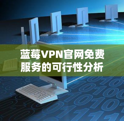 蓝莓VPN官网免费服务的可行性分析