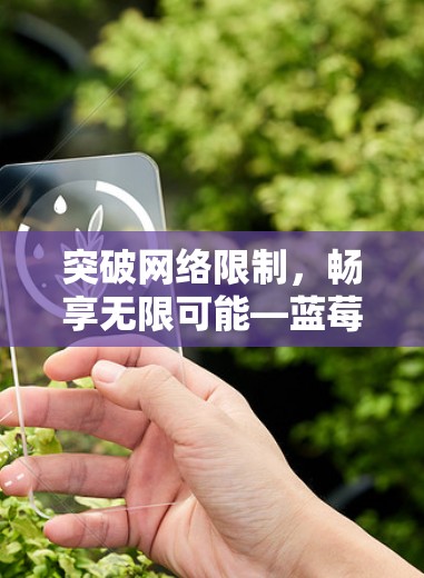突破网络限制，畅享无限可能—蓝莓VPN高速版深度解析