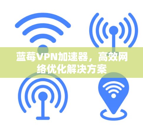 蓝莓VPN加速器，高效网络优化解决方案