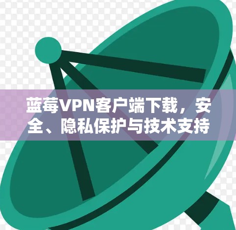 蓝莓VPN客户端下载，安全、隐私保护与技术支持分析
