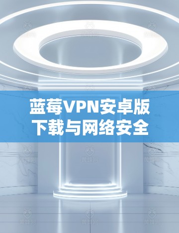 蓝莓VPN安卓版下载与网络安全的考量