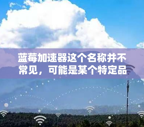 蓝莓加速器这个名称并不常见,可能是某个特定品牌或模型的加速器软件。如果你指的是某个特定的蓝莓品牌的加速器,建议通过官方网站或相关社区进行查询,获取电脑版的下载链接