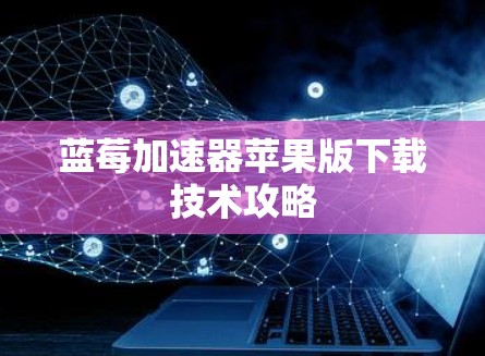 蓝莓加速器苹果版下载技术攻略