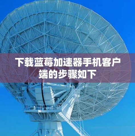 下载蓝莓加速器手机客户端的步骤如下