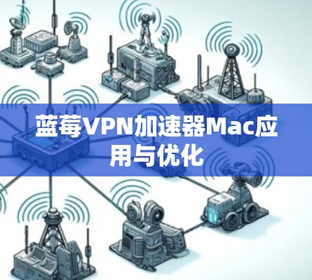 蓝莓VPN加速器Mac应用与优化