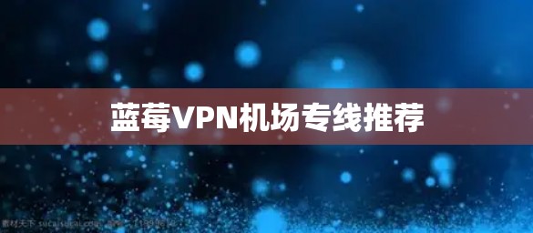 蓝莓VPN机场专线推荐