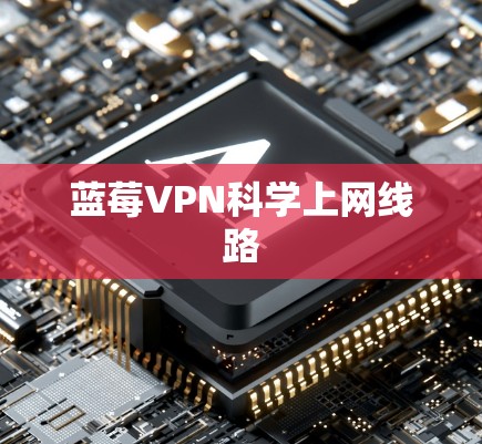 蓝莓VPN科学上网线路