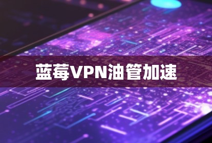 蓝莓VPN油管加速