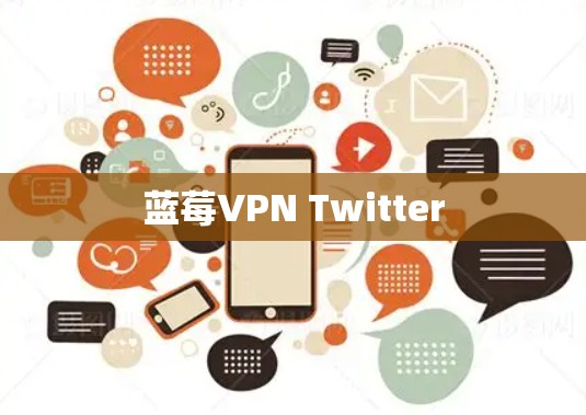 蓝莓VPN Twitter