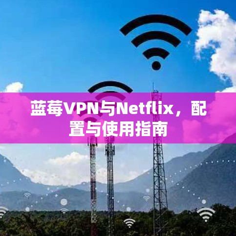 蓝莓VPN与Netflix，配置与使用指南