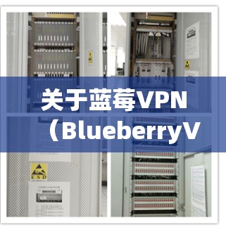 关于蓝莓VPN(BlueberryVPN)和迪士尼(Disney)的内容,以下是一些可能的解释和信息