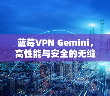 蓝莓VPN Gemini，高性能与安全的无缝网络解决方案
