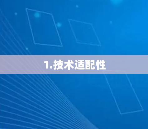 1.技术适配性