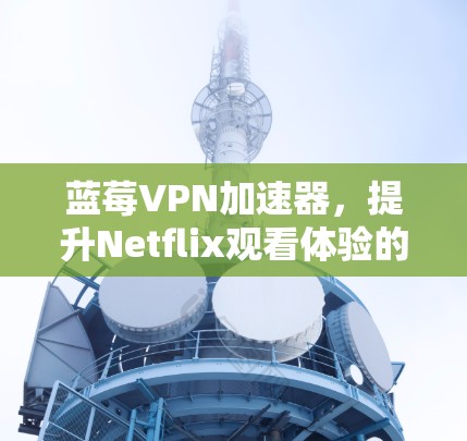 蓝莓VPN加速器，提升Netflix观看体验的秘密武器