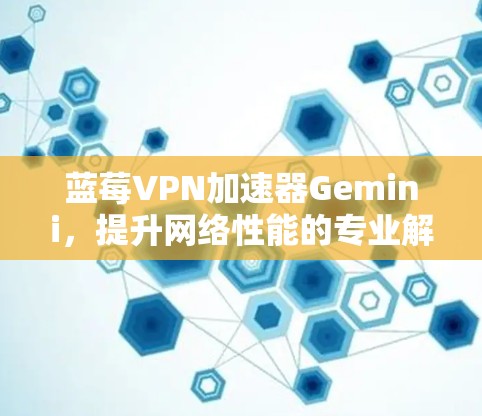 蓝莓VPN加速器Gemini,提升网络性能的专业解决方案