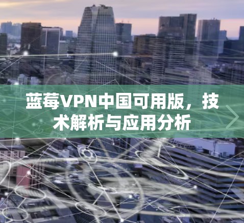 蓝莓VPN中国可用版，技术解析与应用分析