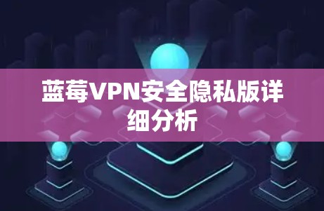 蓝莓VPN安全隐私版详细分析