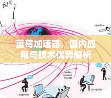 蓝莓加速器，国内应用与技术优势解析